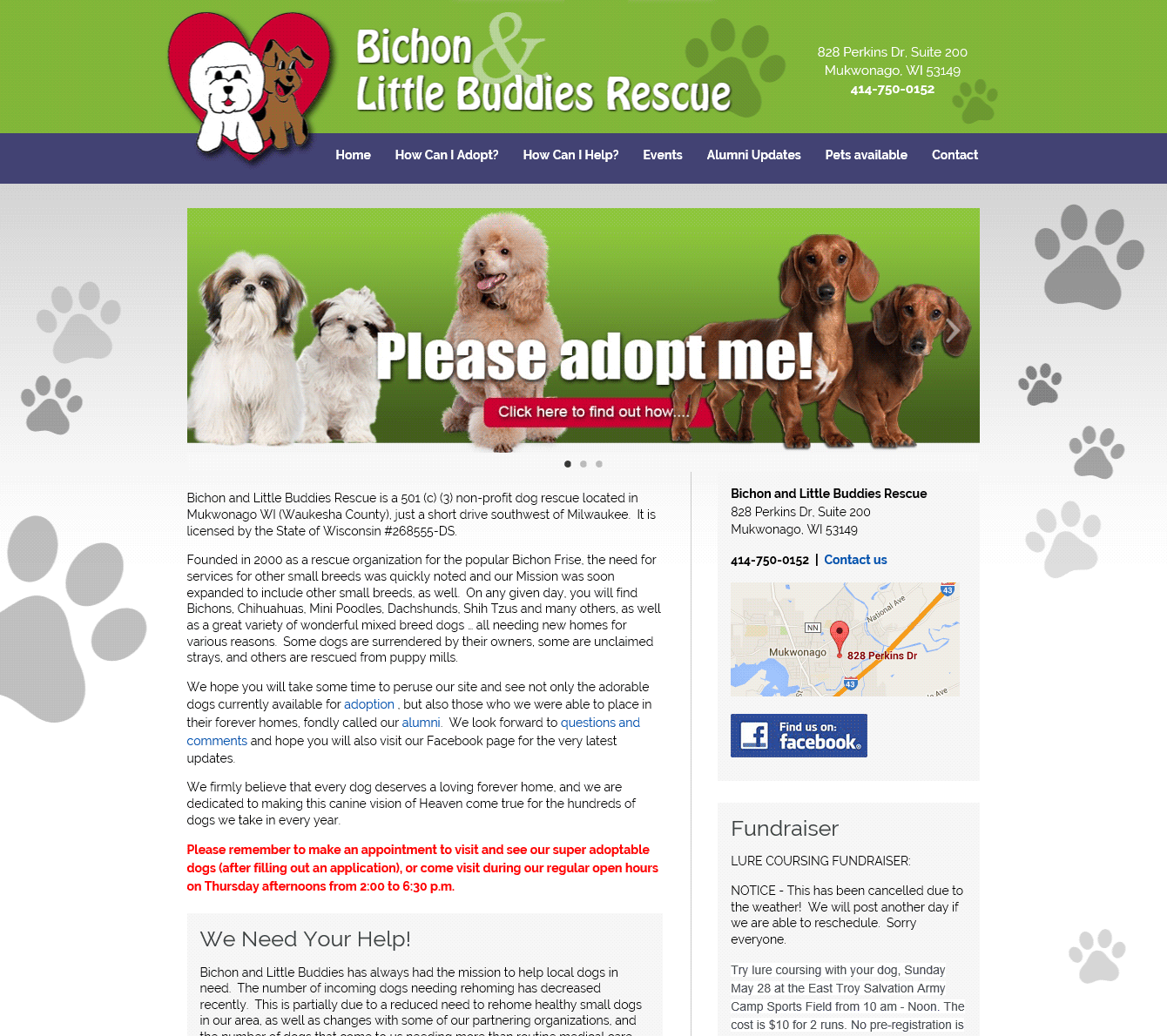 Bichon and Little Buddies Rescue