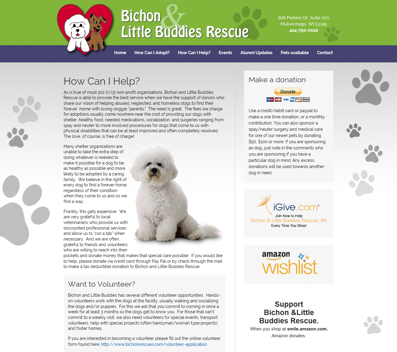 Bichon and Little Buddies Rescue